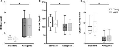 Age and Ketogenic Diet Have Dissociable Effects on Synapse-Related Gene Expression Between Hippocampal Subregions